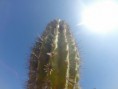 /album/cabo-pulmo/a12308601-10208777866630656-7777211341778146010-n-jpg/